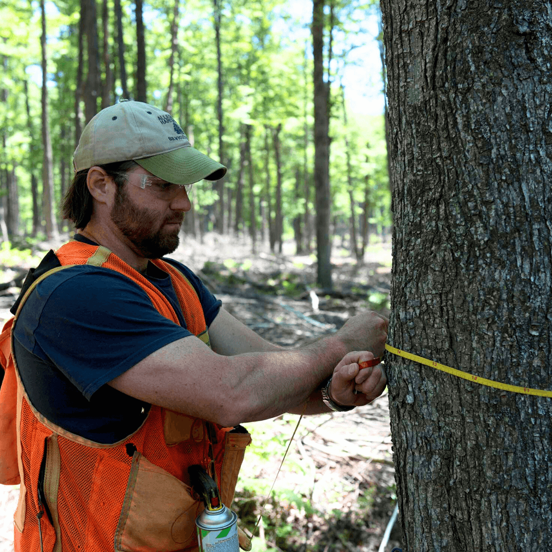 Forest and Conservation Technicians